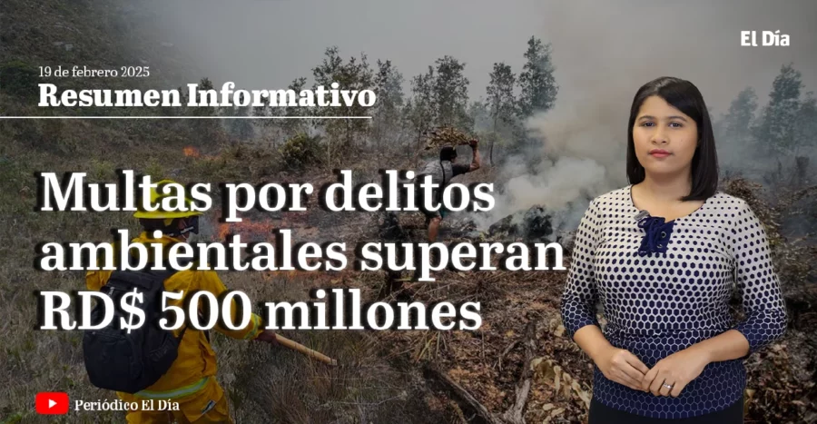 Multas por delitos ambientales superan los 500 millones Multas por delitos ambientales superan los 500 millones