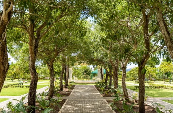 Indomet prevé aumentos de lluvias en el sureste y temperaturas frescas a nivel nacional