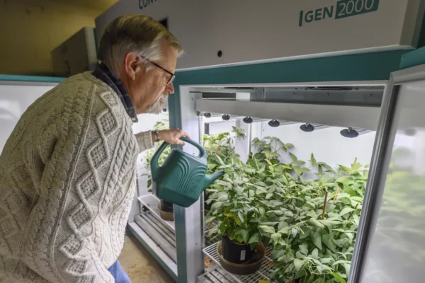 Cierre de USAID deje repercusiones dentro de EEUU también