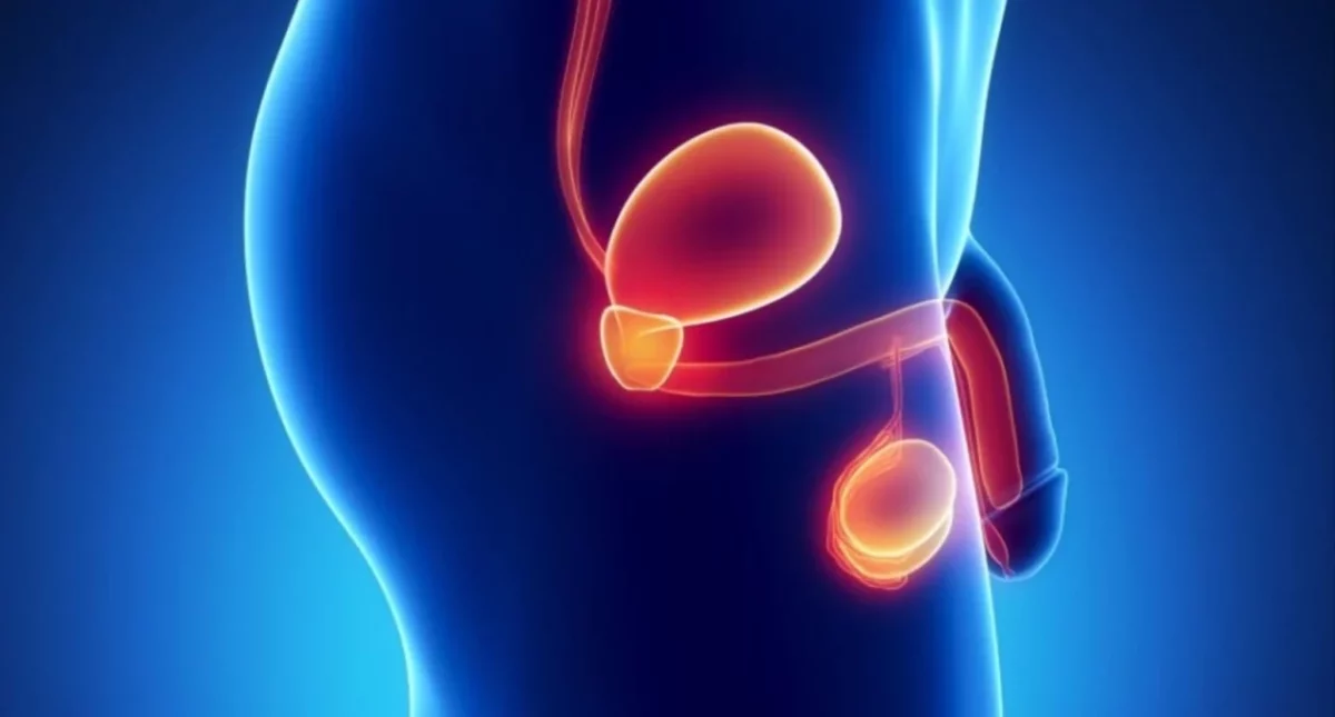 El cáncer de próstata y vejiga representan próximo al 30 % de todos los cánceres que comprometen la población mundial.