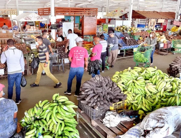 El estimado de unidades de plátano que se consume diario es de 8.5 millones.