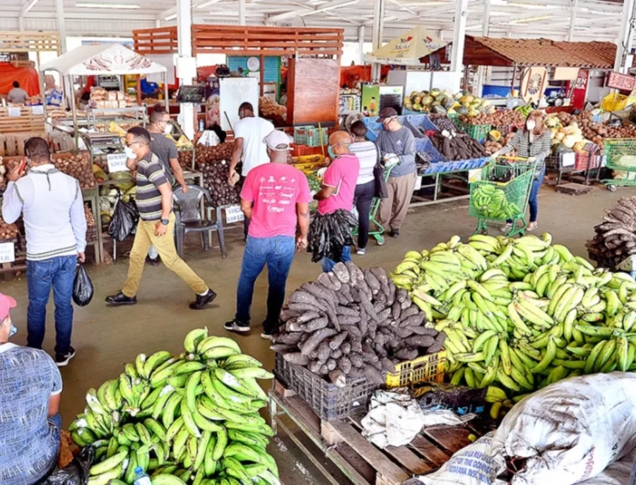 El estimado de unidades de plátano que se consume diario es de 8.5 millones. El estimado de unidades de plátano que se consume diario es de 8.5 millones.
