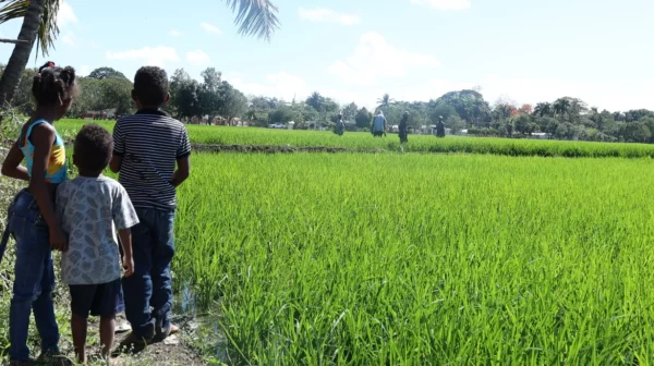 4_Nacionales_25_1.p03