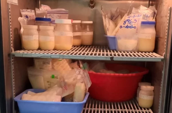 La  lactancia materna l reduce mortalidad infantil.