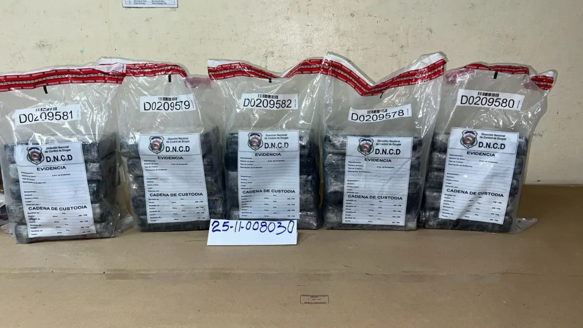 La cocaína incautada por las autoridades en La Altagracia. Fuente externa