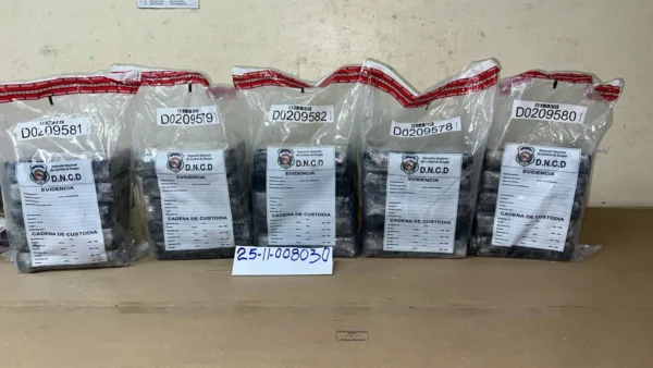 La cocaína incautada por las autoridades en La Altagracia. Fuente externa