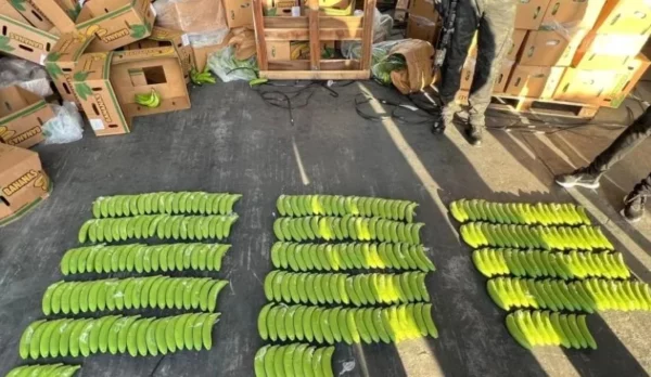 A la red se le decomisaron 102 kilogramos de cocaína.