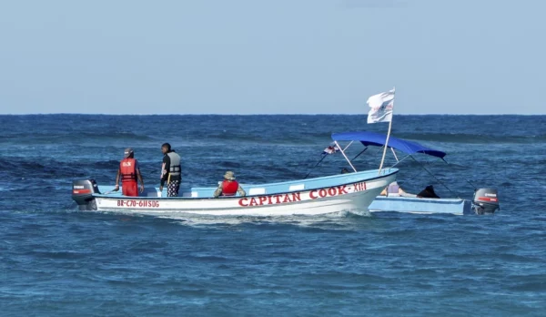 En la búsqueda de  Sudiksha Konankic se han empleado  diversos equipos tecnológicos.