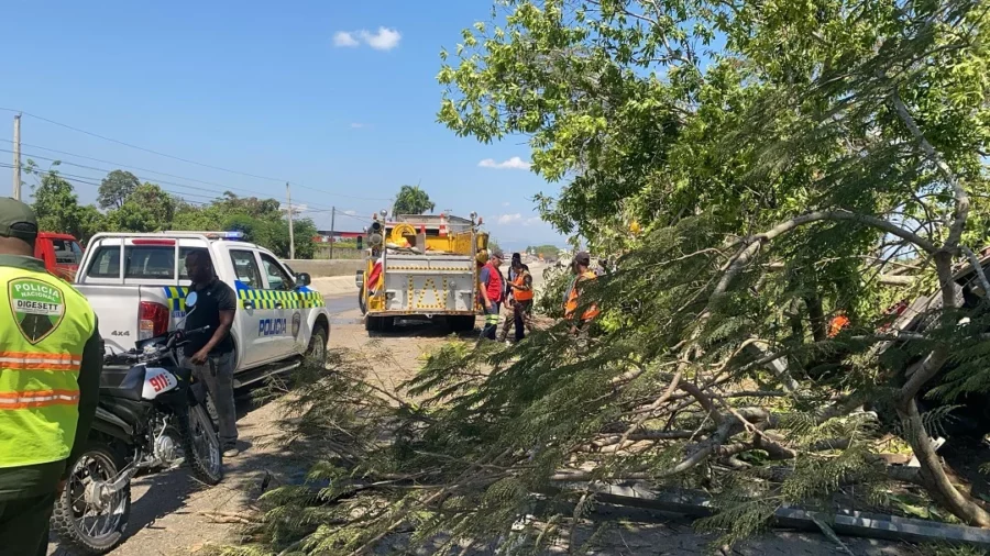 911 coordina asistencia tras deslizamiento e incendio de camión en La Vega (2) 911 coordina asistencia tras deslizamiento e incendio de camión en La Vega (2)