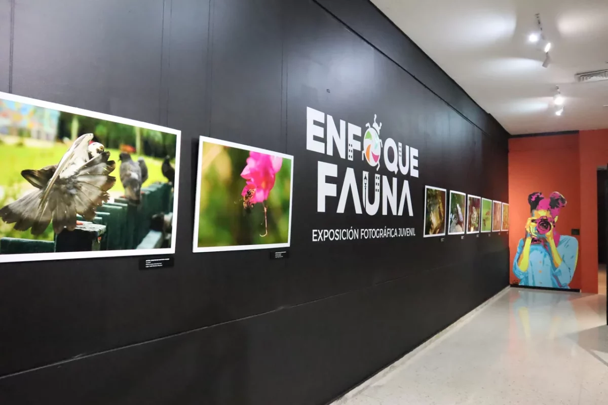 Exhibición 2024