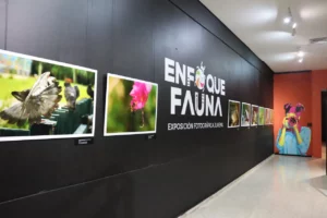 Las fotografías ganadoras y una selección de las más destacadas serán exhibidas en una exposición temporal en el Museo.