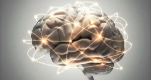 La neuroplasticidad es la capacidad del cerebro para crear nuevas neuronas.