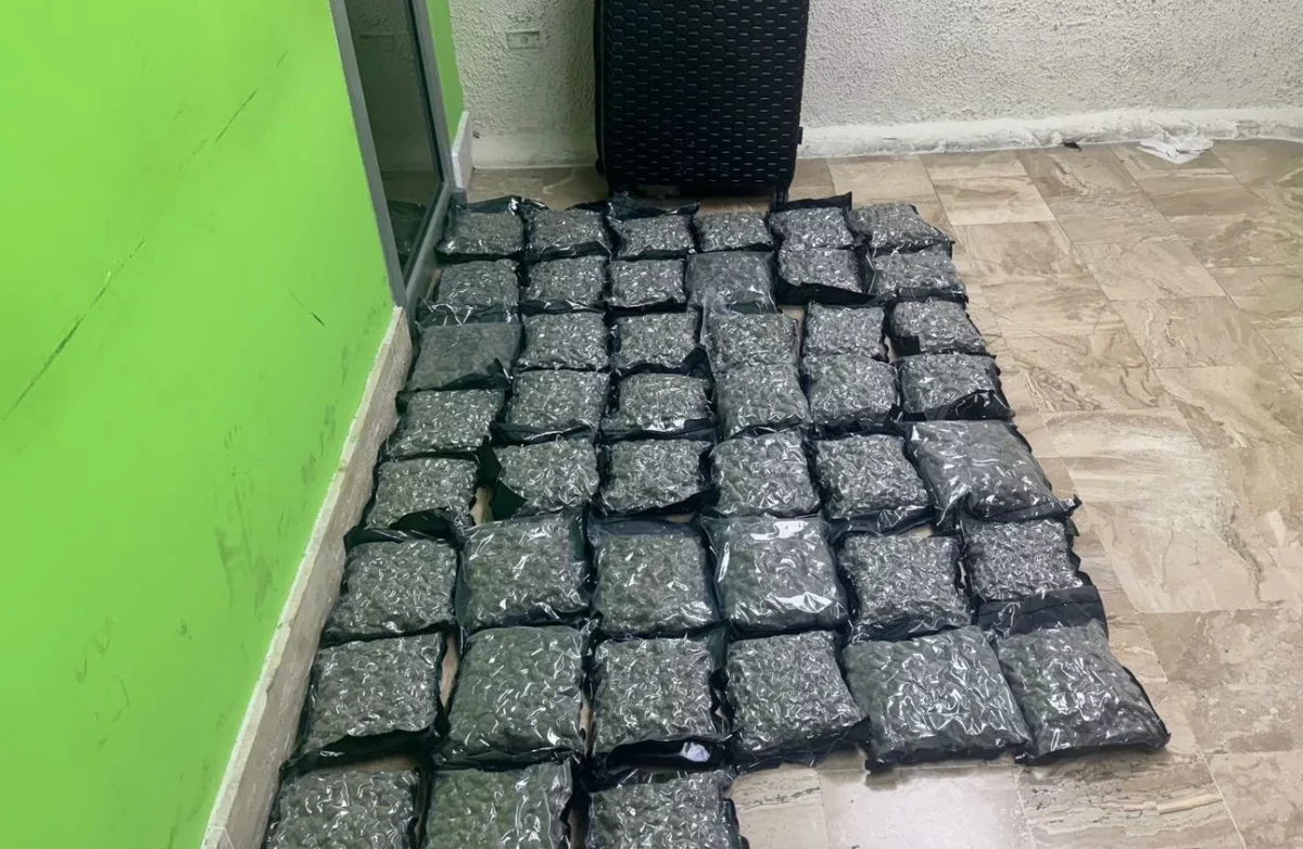 Marihuana1