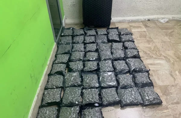 DNCD incauta 79 paquetes de marihuana que fueron abandonados en Aeropuerto de Punta Cana