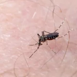 Dengue registra su cifra más baja desde enero, con 1 caso confirmado, pese a verano