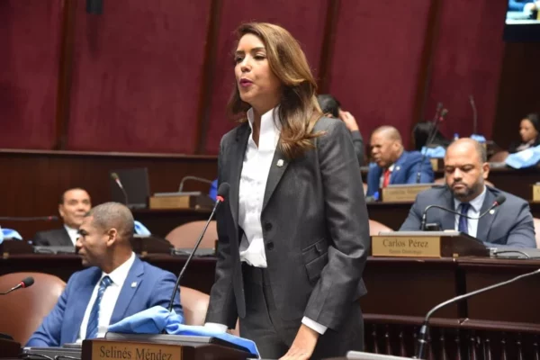 Diputada Selinée Méndez propone proyecto de ley para fortalecer uso del Escudo Nacional en instituciones del Estado