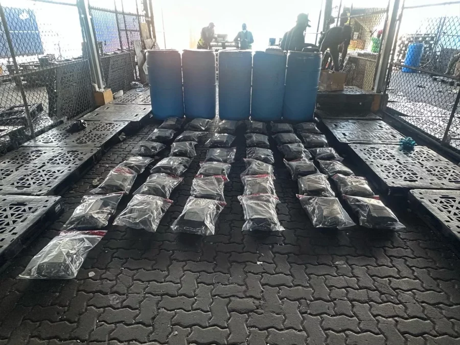 Paquetes de marihuana confiscados por la DNCD. Fuente externa