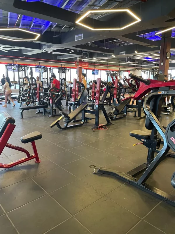 WhatsApp Image 2025-03-30 at 9.30.17 AM