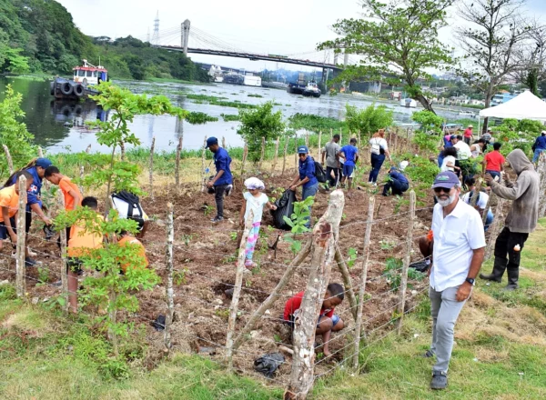 Zagul en la  reciente  jornada de siembra realizada en la comunidad de Domingo Savio.