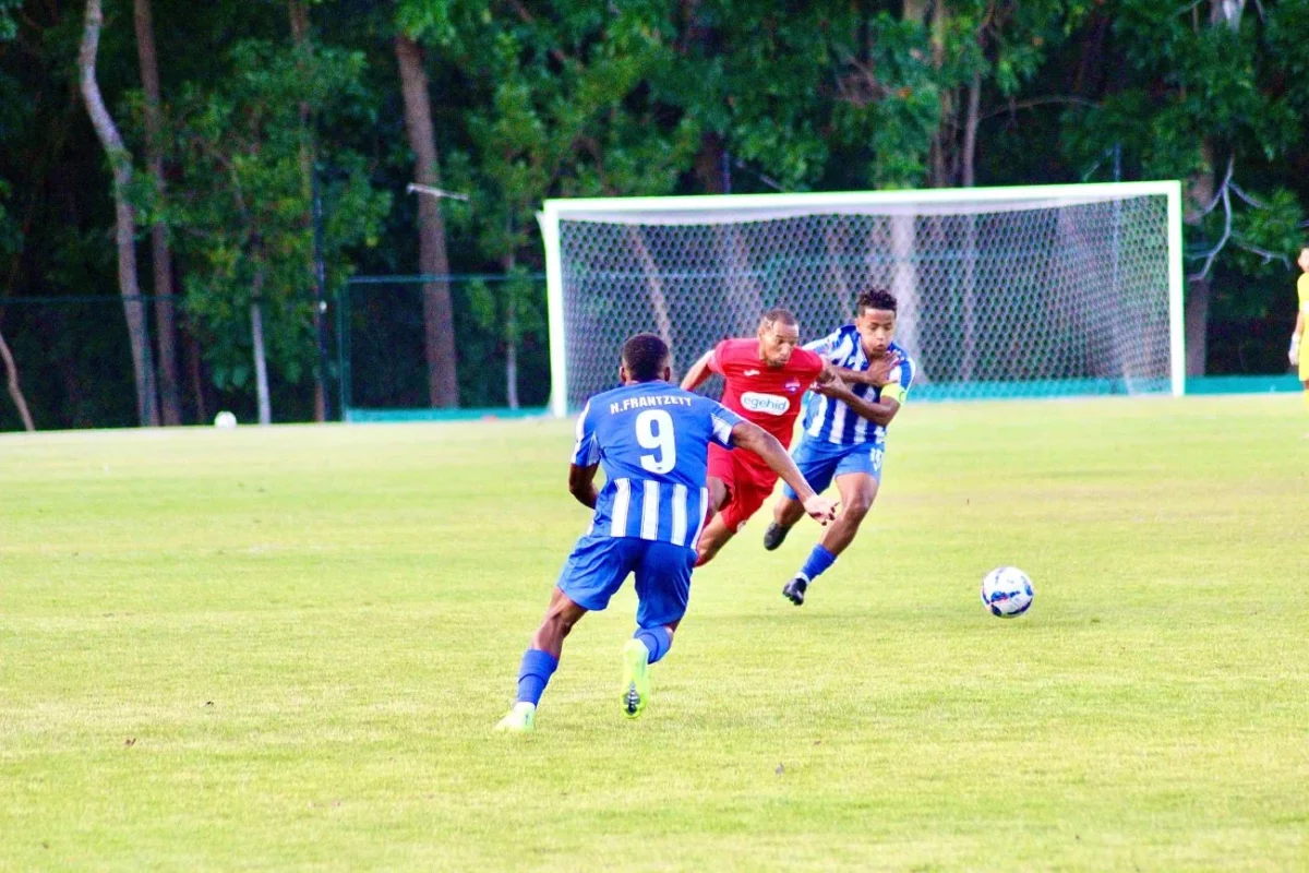 accion ldf