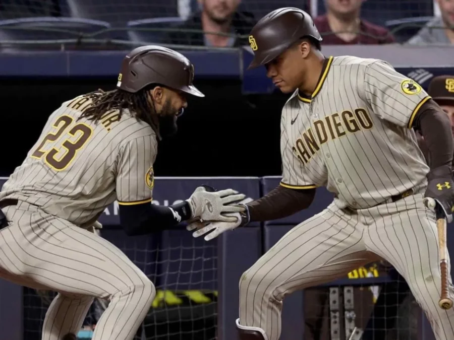 fernando_tatis_jr_y_juan_soto.jpg_1339198940 fernando_tatis_jr_y_juan_soto.jpg_1339198940