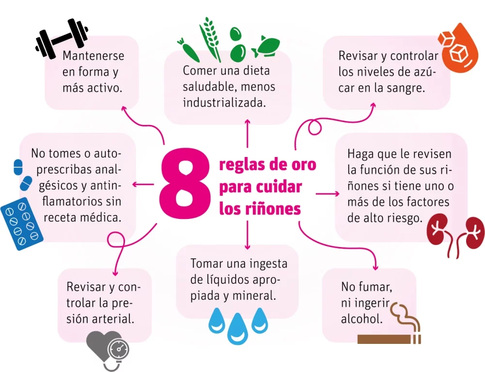 Las ocho reglas de oro para cuidar la salud renal