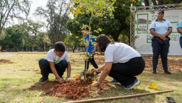 Dominicana verde 2025