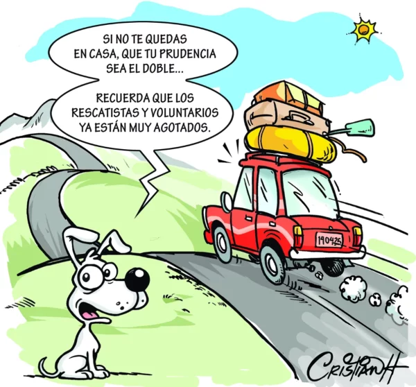 el carrusel de la vida