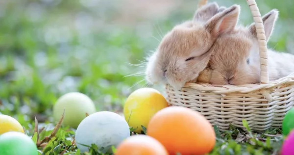 Captura de Pantalla 2025-04-20 a la(s) 9.14.15 p. m.