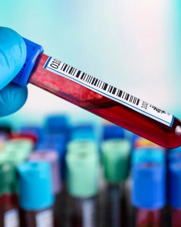 Diseño sin título – 2025-04-29T204457.896