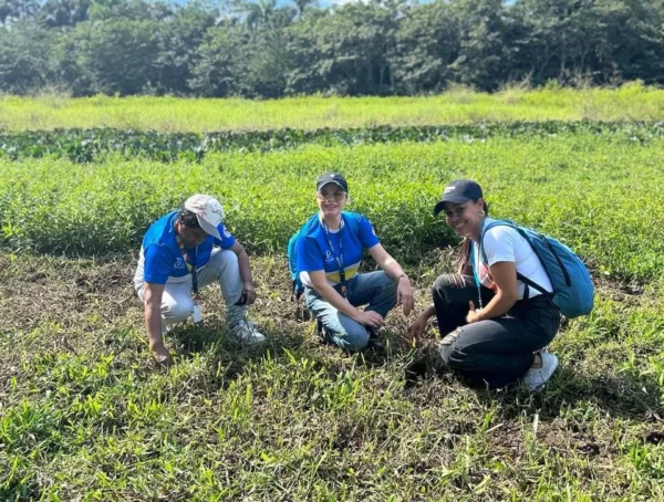 Estudiantes reforestando.