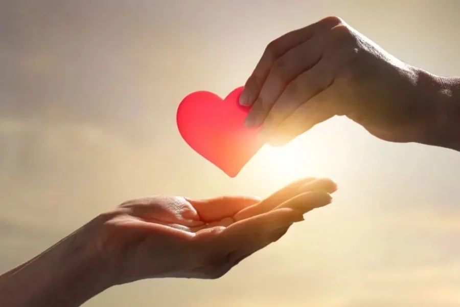 El amor El amor