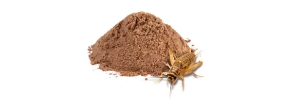 La necesidad de encontrar fuentes de alimento más sostenibles y accesibles es cada vez más urgente. Con el crecimiento constante de la población mundial y la presión sobre los recursos naturales