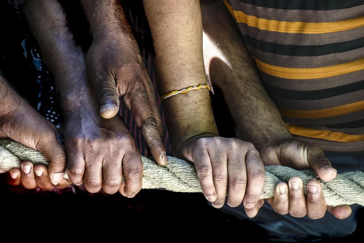 La solidaridad: del sentimiento al acto que nos humaniza. Imagen de Céline Martin en Pixabay