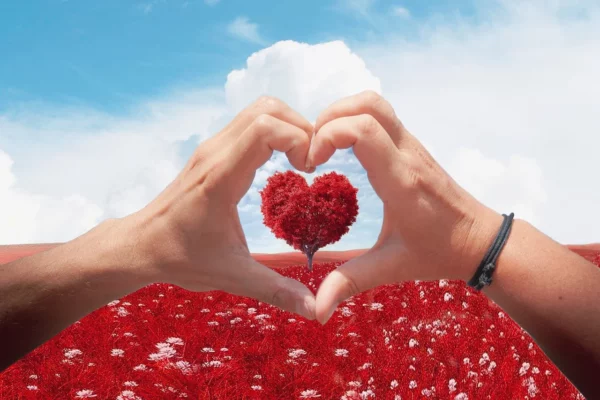 El Amor que nos despierta. Imagen de Enrique en Pixabay