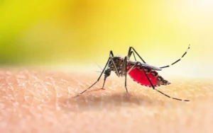 Aumento incidencia malaria es asociada a alta movilidad de migrantes a zonas agrícolas