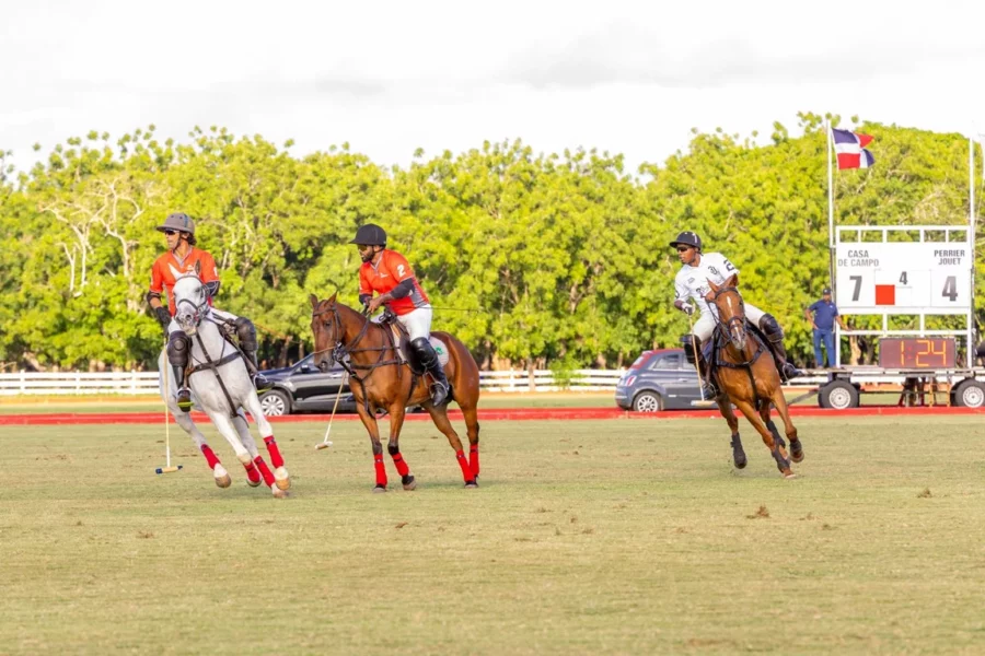 Polo1 Polo1