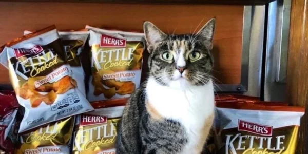 WhatsApp Image 2025-04-04 at 6.27.21 AM