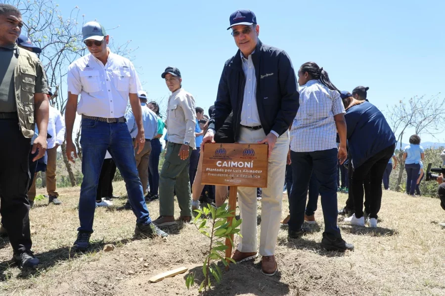 El Caimoní fue una de las especies de árboles sembradas en la jornada de reforestación en la cuenca del río Yaque del Norte. Fuente externa El Caimoní fue una de las especies de árboles sembradas en la jornada de reforestación en la cuenca del río Yaque del Norte. Fuente externa