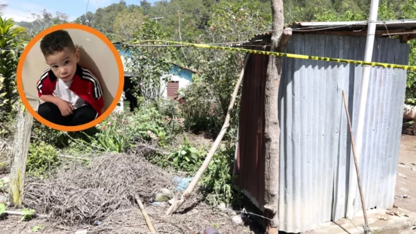 WhatsApp Image 2025-04-07 at 10.48.05 AM (1)