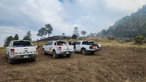 WhatsApp Image 2025-04-10 at 4.44.40 PM