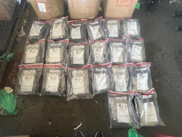 WhatsApp Image 2025-04-12 at 11.18.32 AM (1)