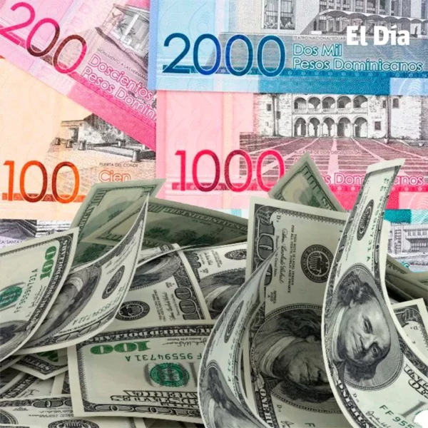 WhatsApp Image 2025-04-15 at 3.38.05 PM