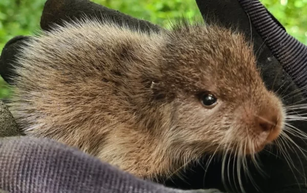 WhatsApp Image 2025-04-22 at 3.22.14 PM