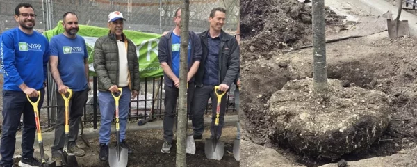 WhatsApp Image 2025-04-22 at 9.15.05 AM