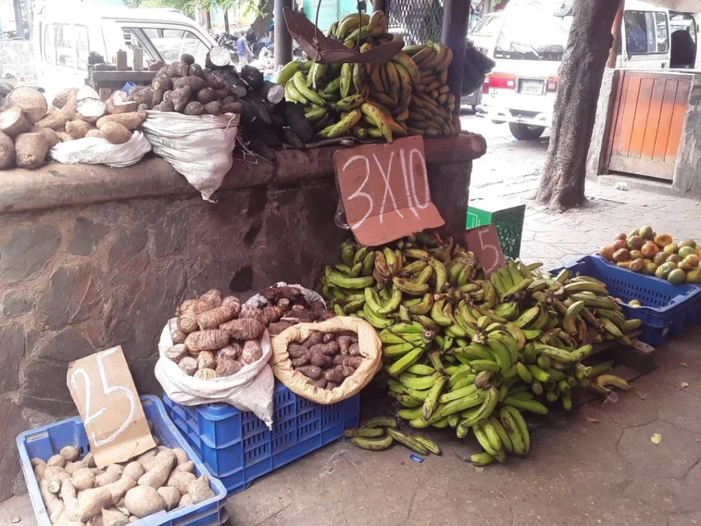 alimentos-1024x768.webp