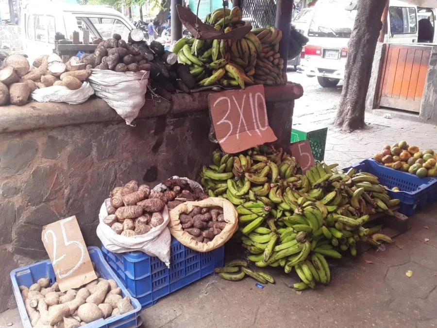 alimentos alimentos