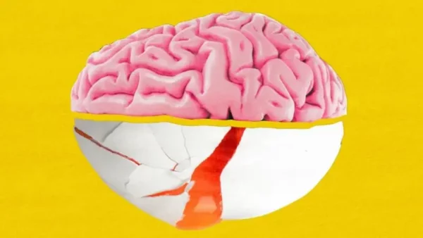 colina-nutriente-cerebro