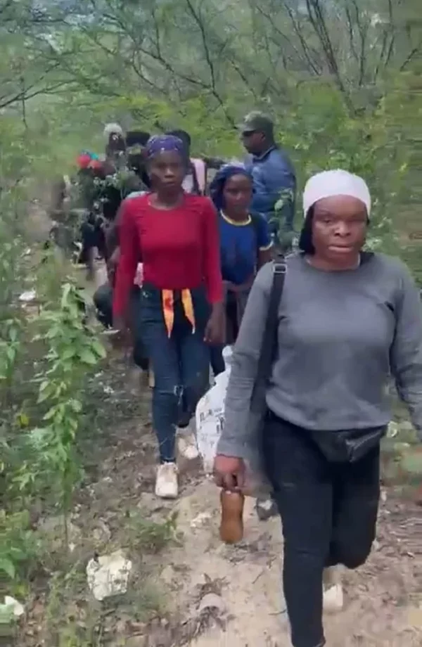 haitianos en el monte