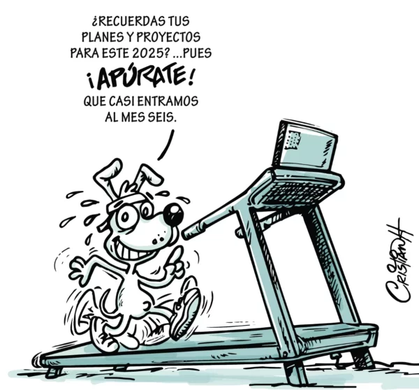 El carrusel de la vida